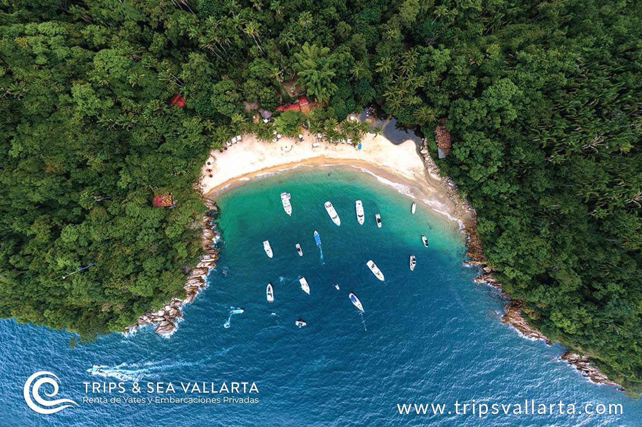 Playa Majahuitas-Trips & Sea Vallarta-Rentas de Yates y Embarcaciones Privadas