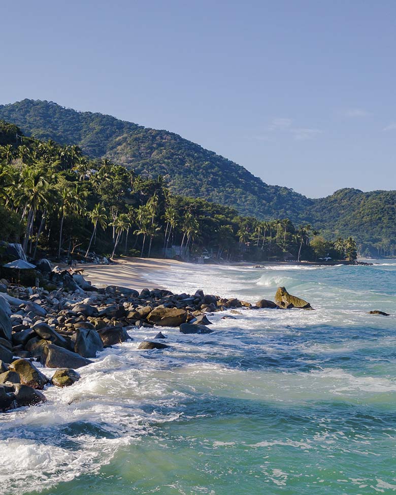 Trips & Sea Puerto Vallarta-Renta de Yates y Lanchas Privadas-Categoría Paseos