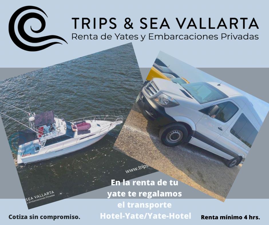 PHOTO-2023-01-28-21-31-31